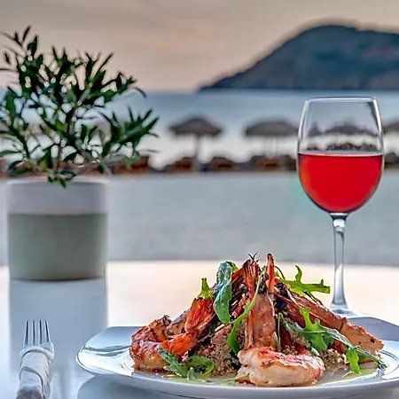 Hotel Elia Mykonos